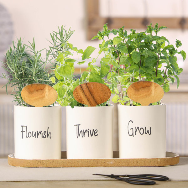 Ebern Designs Windowsill Herb Plant Pot on Tray Wayfair.co.uk